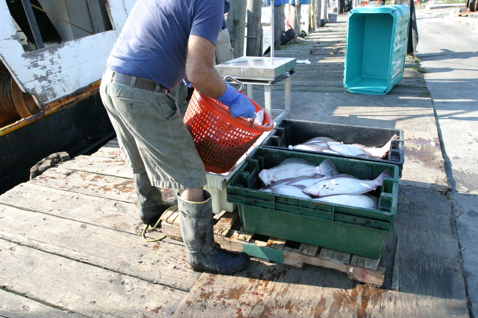 2012-09_MontaukPackOut24.JPG
