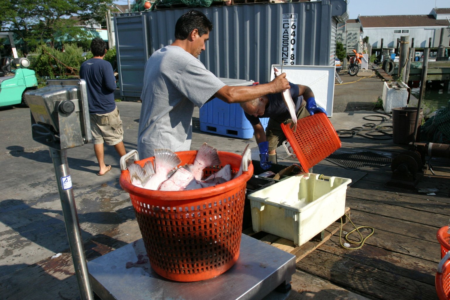 2012-09_MontaukPackOut27.JPG