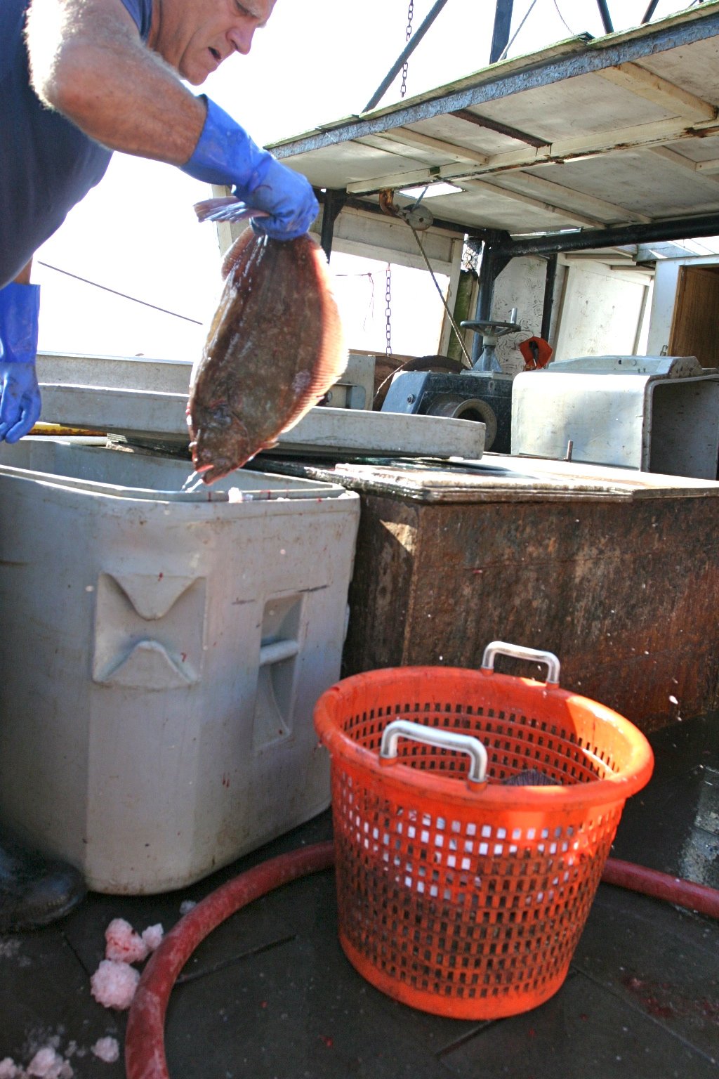 2012-09_MontaukPackOut34.JPG