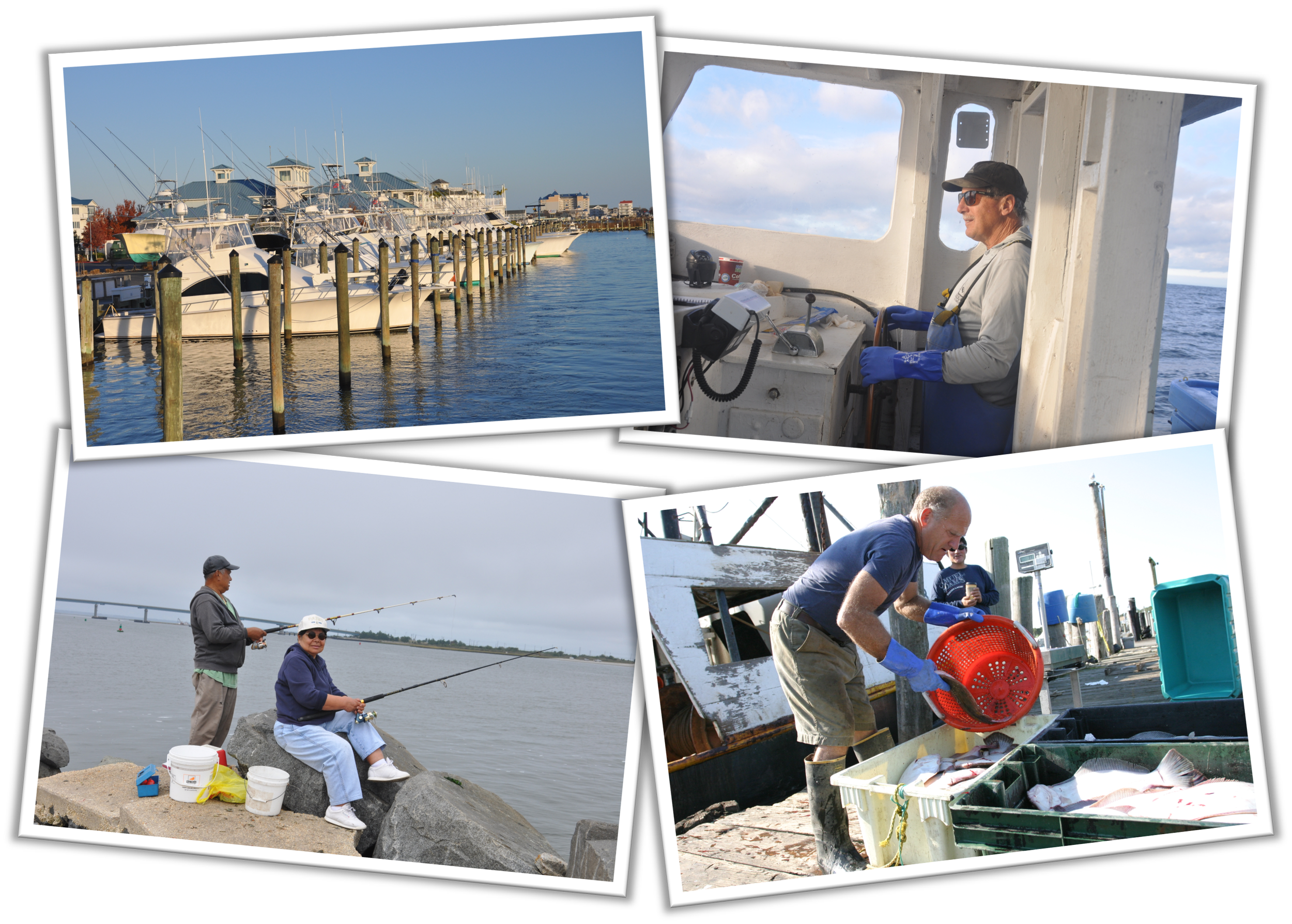 Mid-Atlantic Fisheries Photo Contest