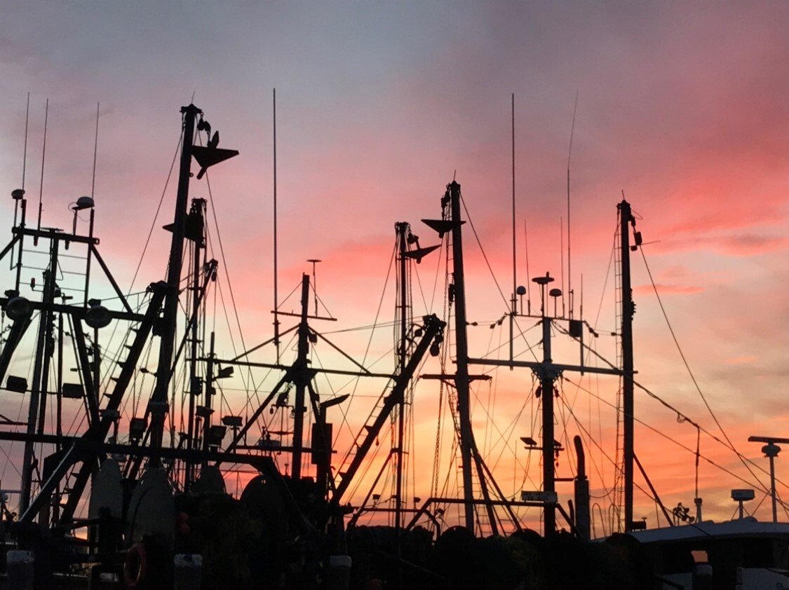   Fishing vessels at Point Judith, Rhode Island, at sunset.     Photo by Meghan Lapp  