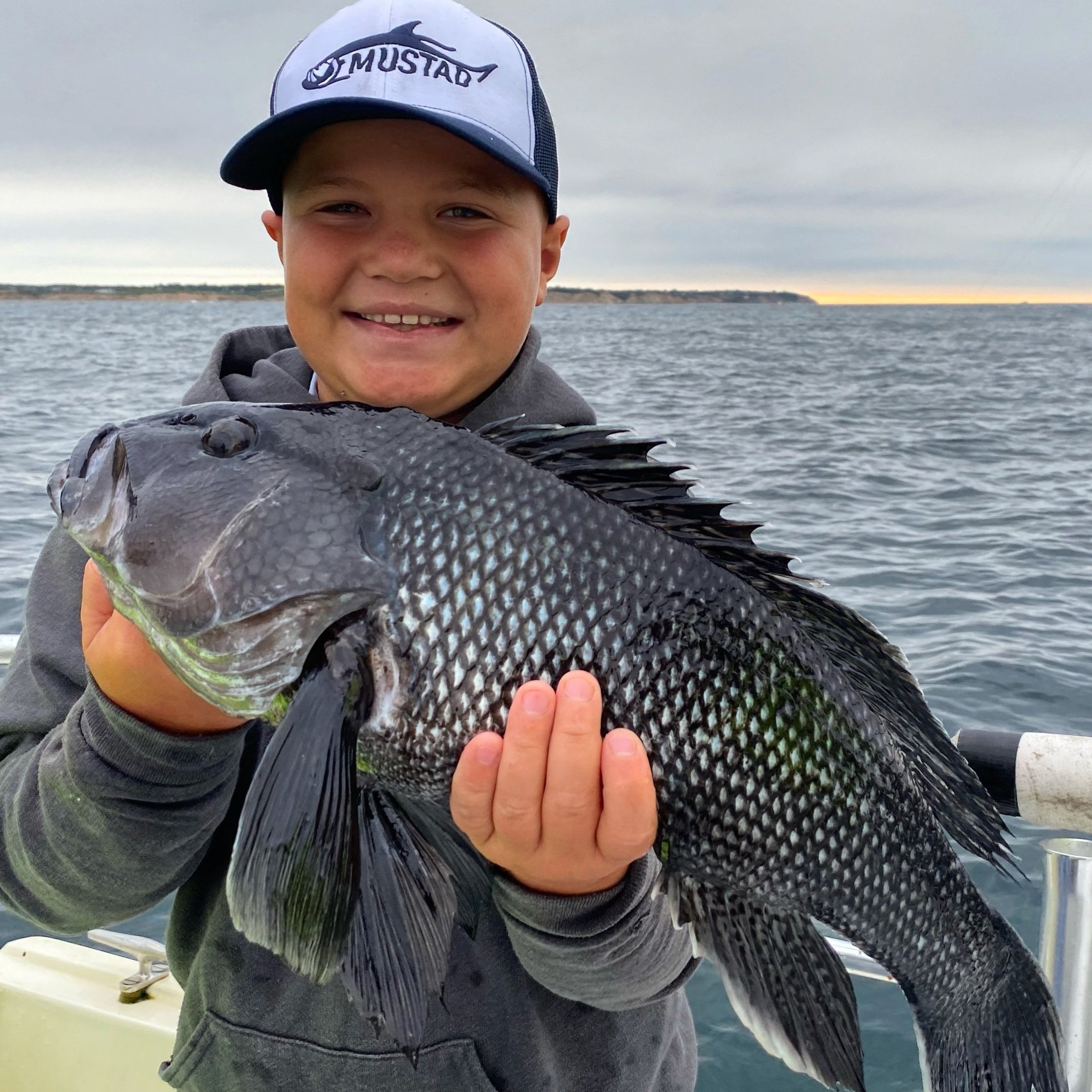   Black sea bass off Block Island, Rhode Island.     Photo by Daniel Giunta  