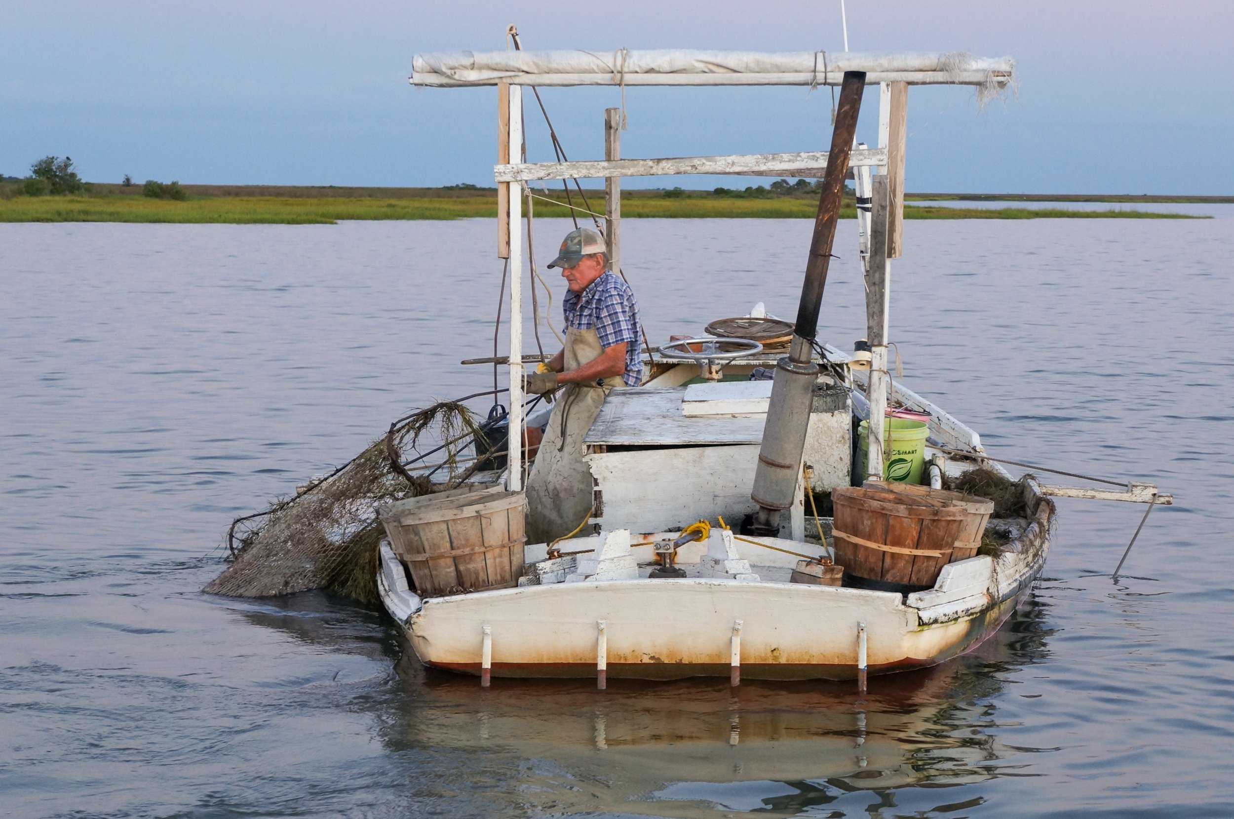   Commercial crabbing on the Chesapeake Bay.    Photo by G Warren Elliott  