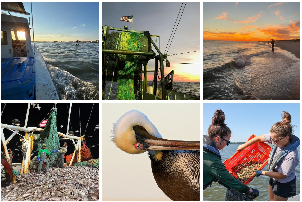 2026 Mid-Atlantic Fisheries Photo Contest Winners 