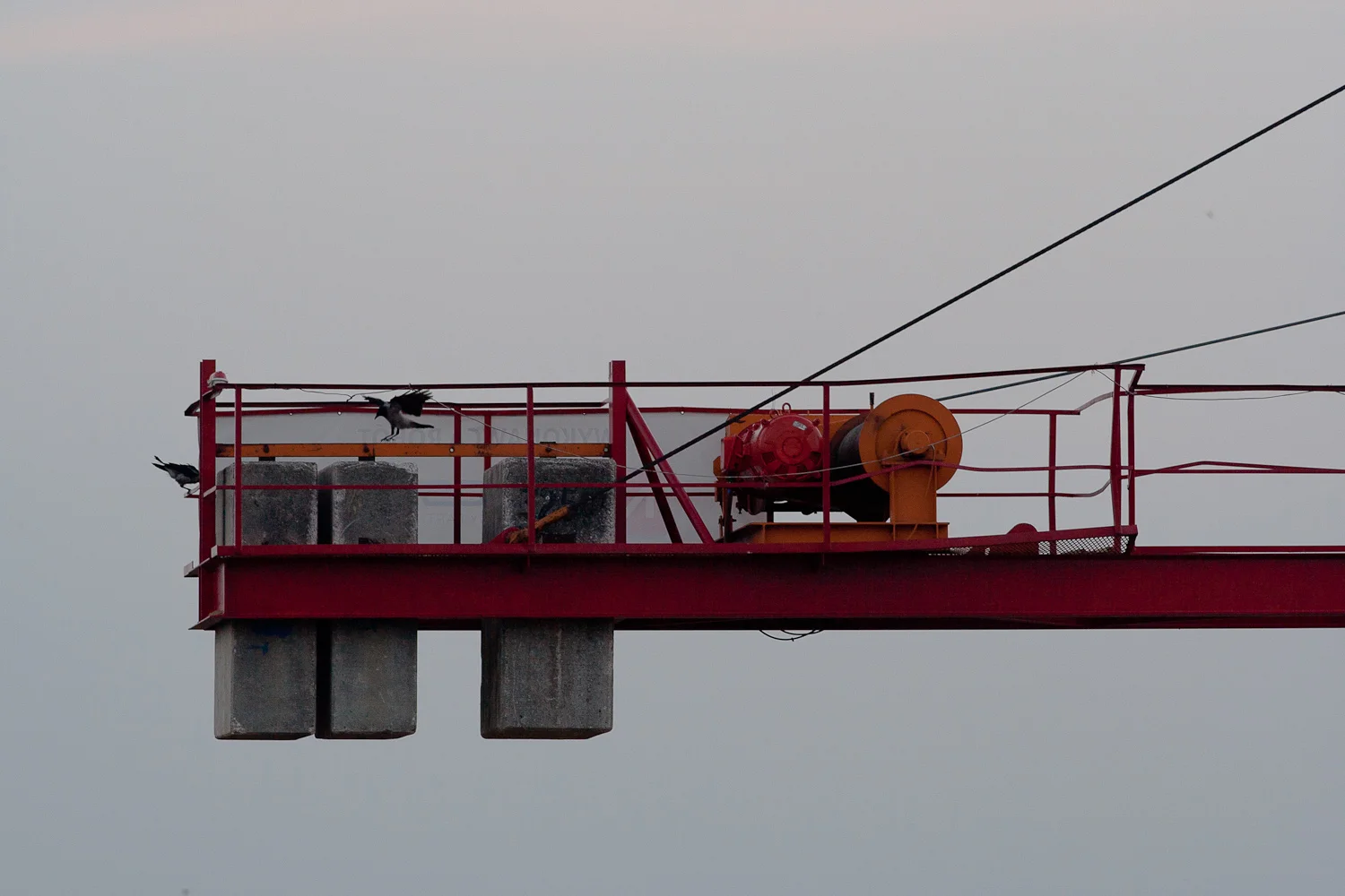 Photo taken by the author on June 25, 2016, at 20:47 in the evening in Warsaw’s Mokotów with a Canon EOS Digital Rebel XT fitted with the 200mm/f2.8 L-series lens.