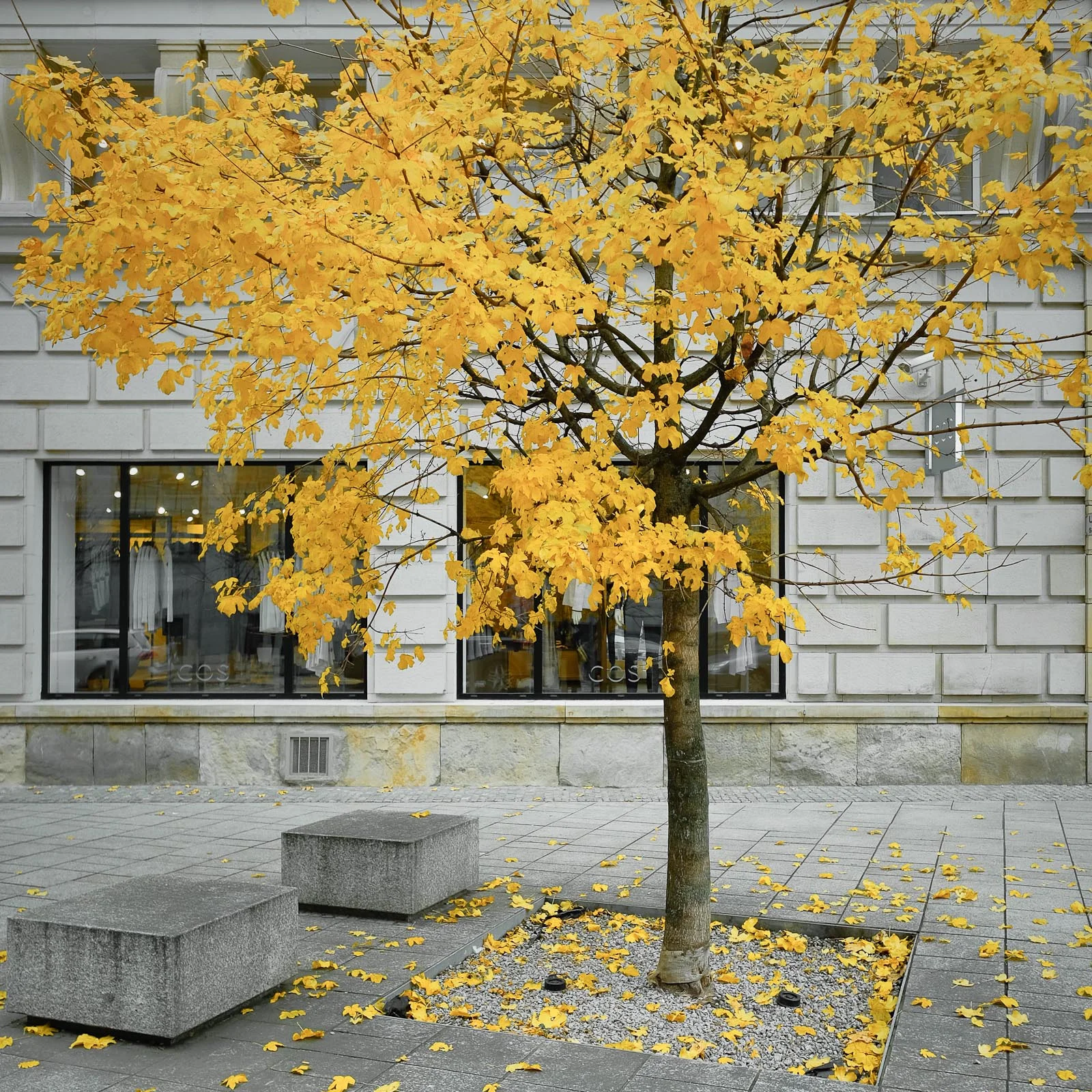 Autumn in Warsaw