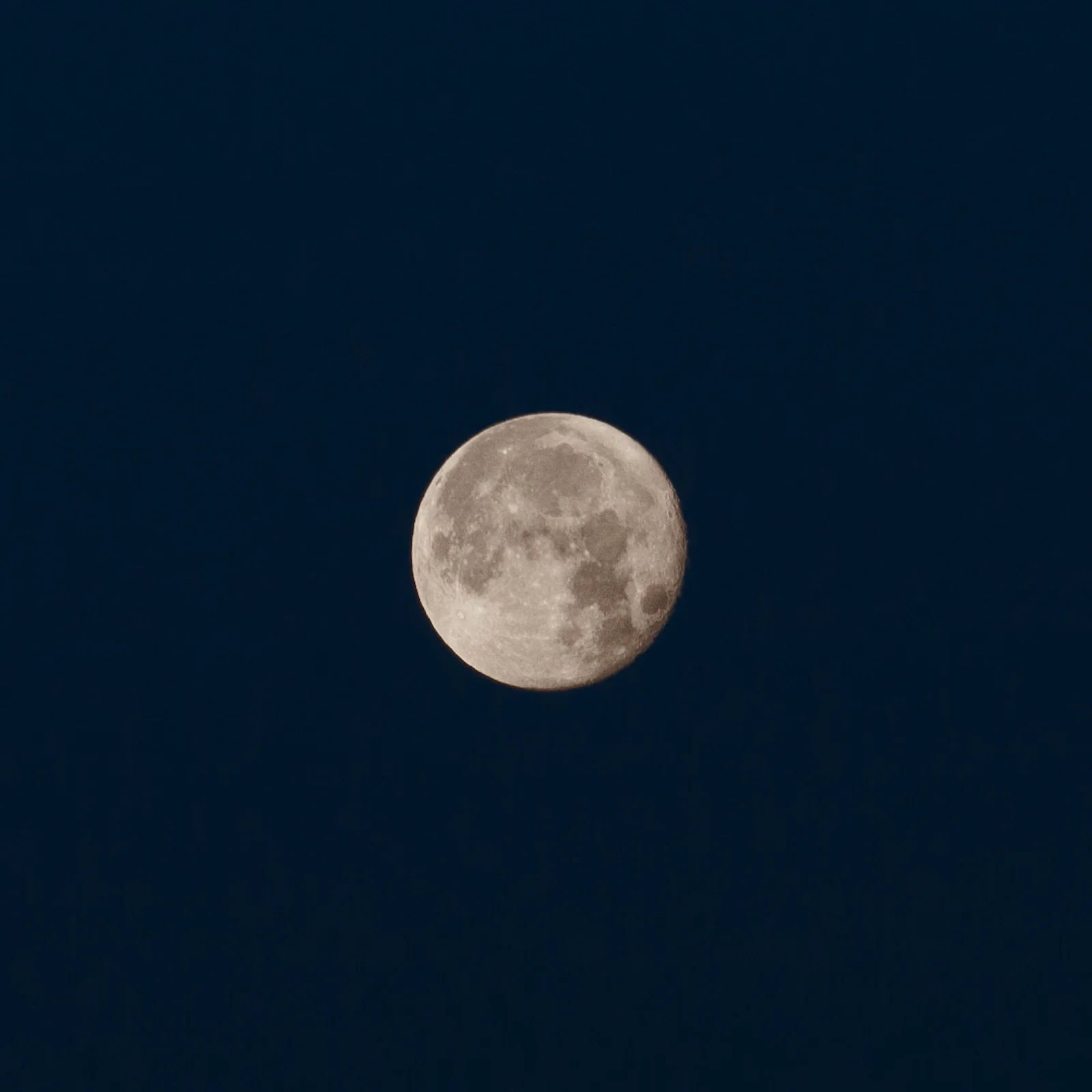 Moonlit Morning