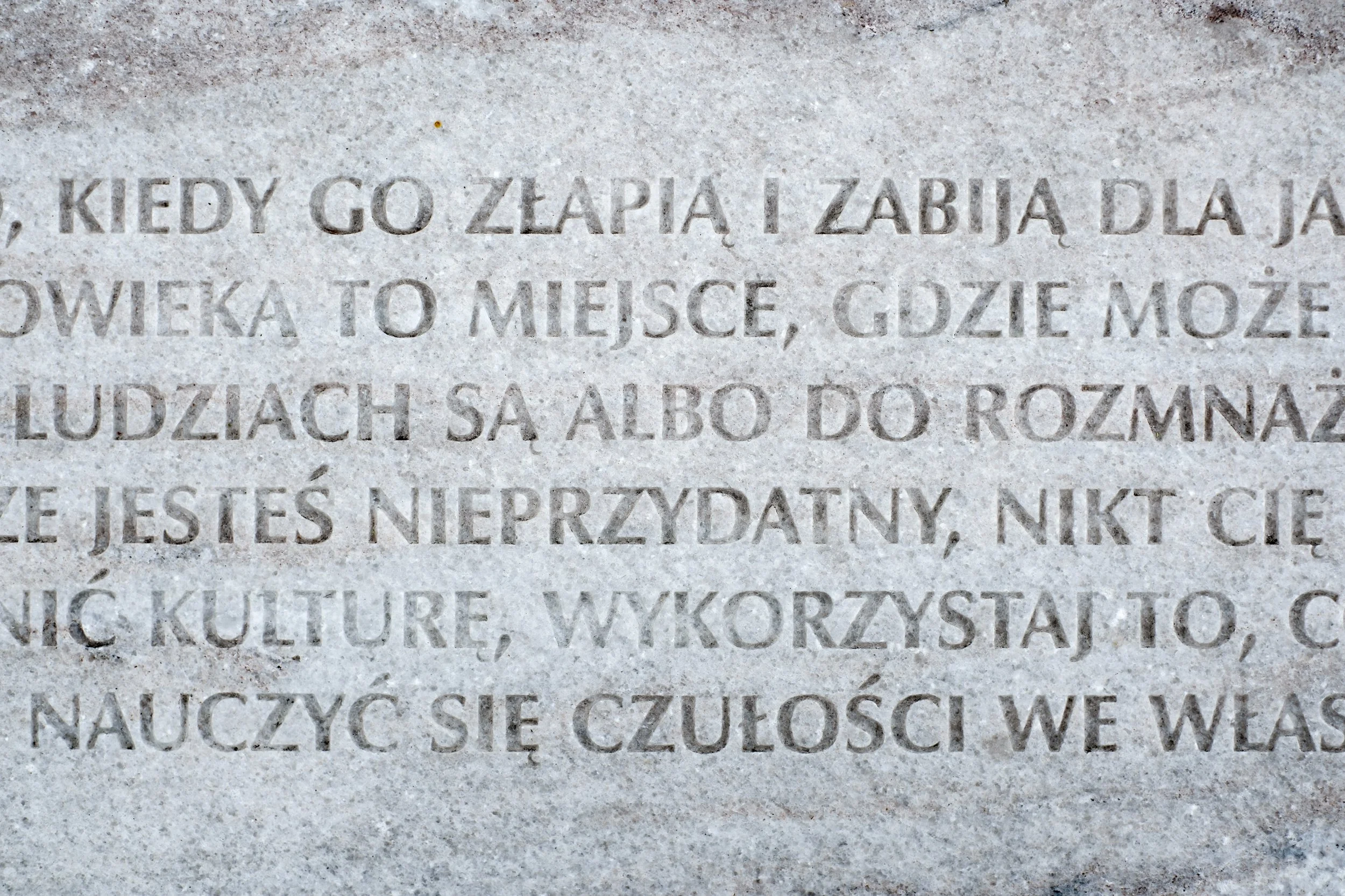 NO20260822F08.jpg