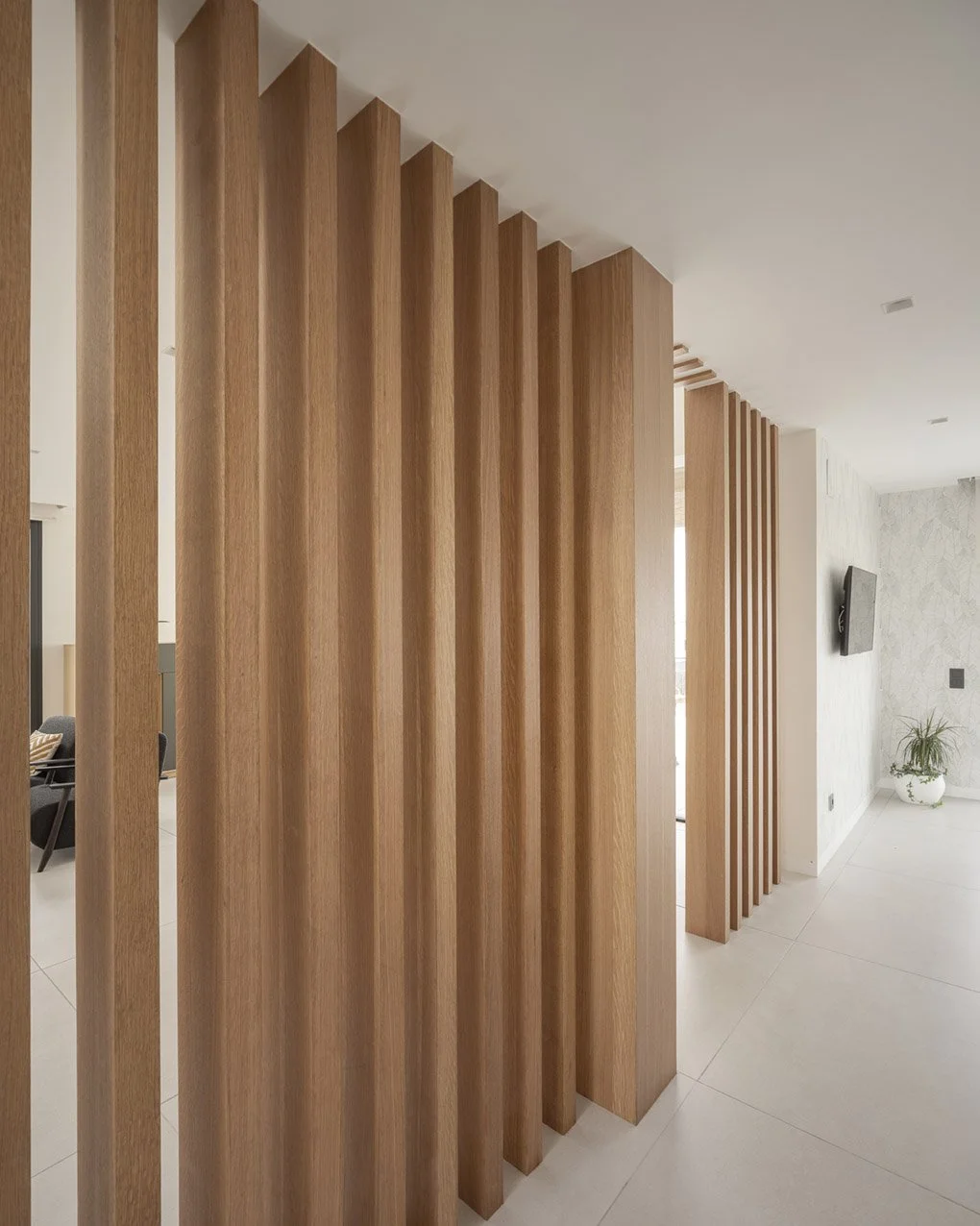 20240426 VILLAVIOCIOSA DE ODON  104   BAJA.jpg