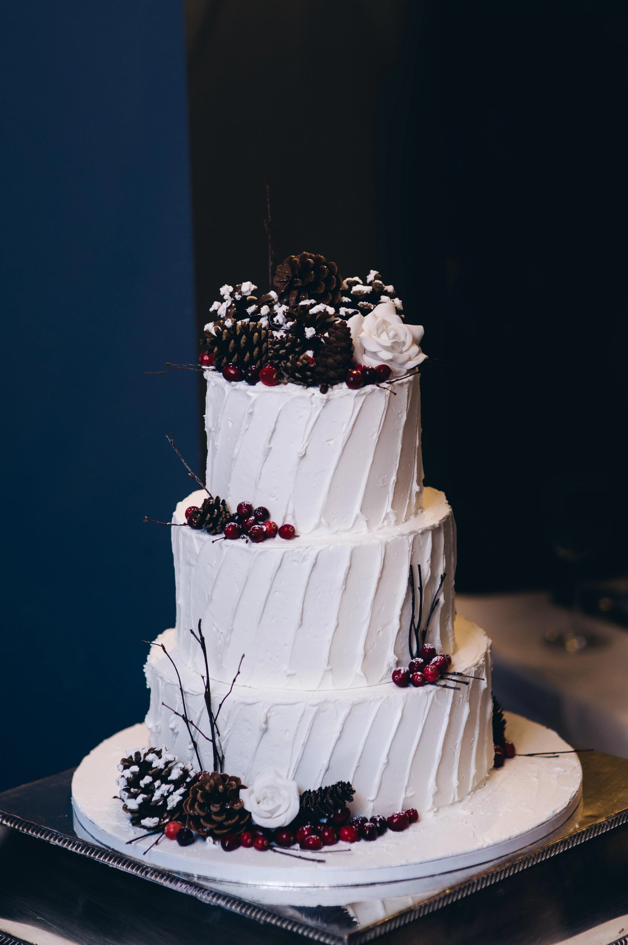 Charlton house, Somerset - wedding photography