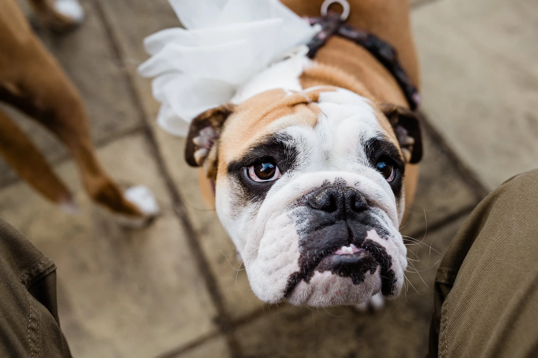 David Scammell Photography (1 of 1)-64.jpg