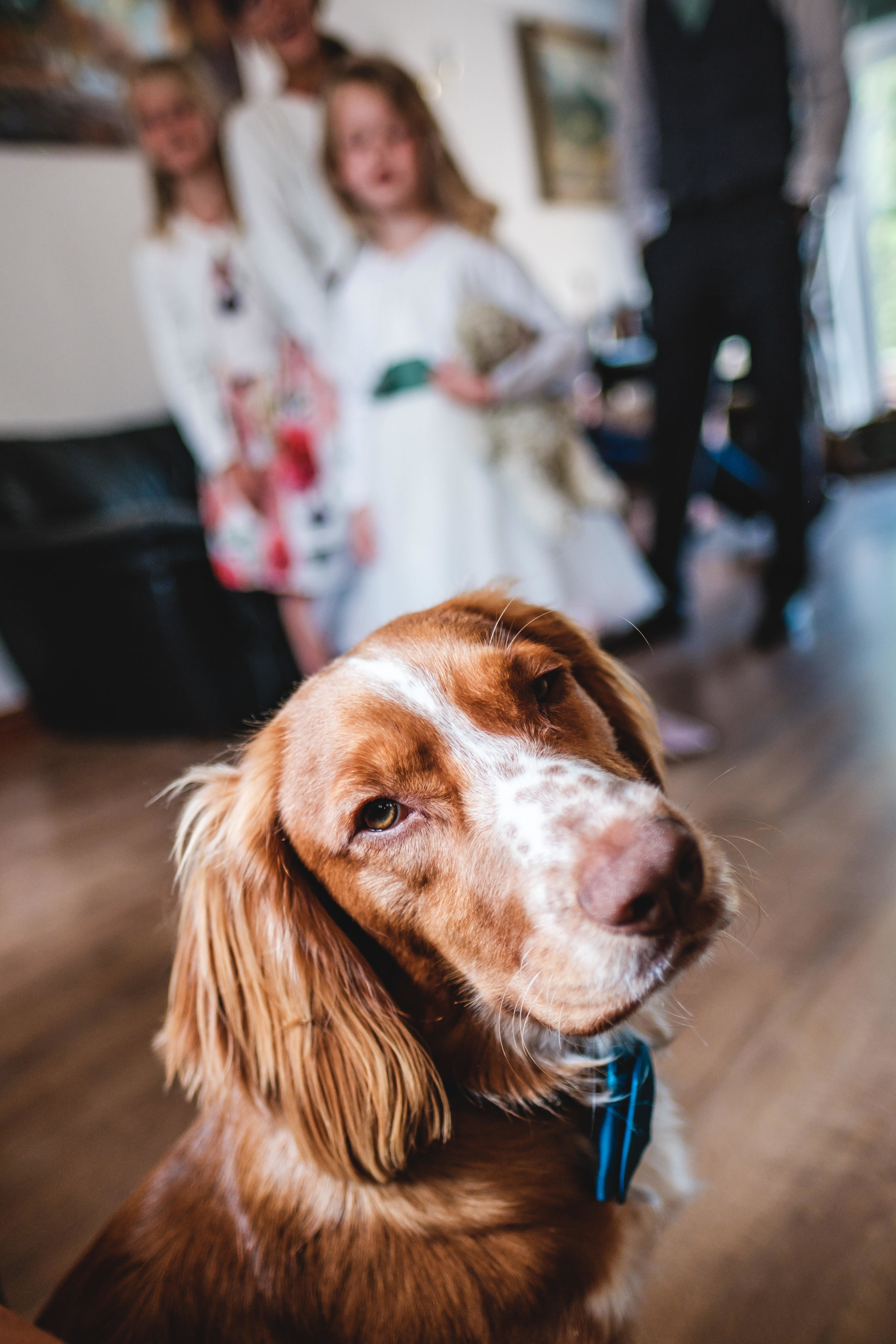 Lakeview Manor Weddings