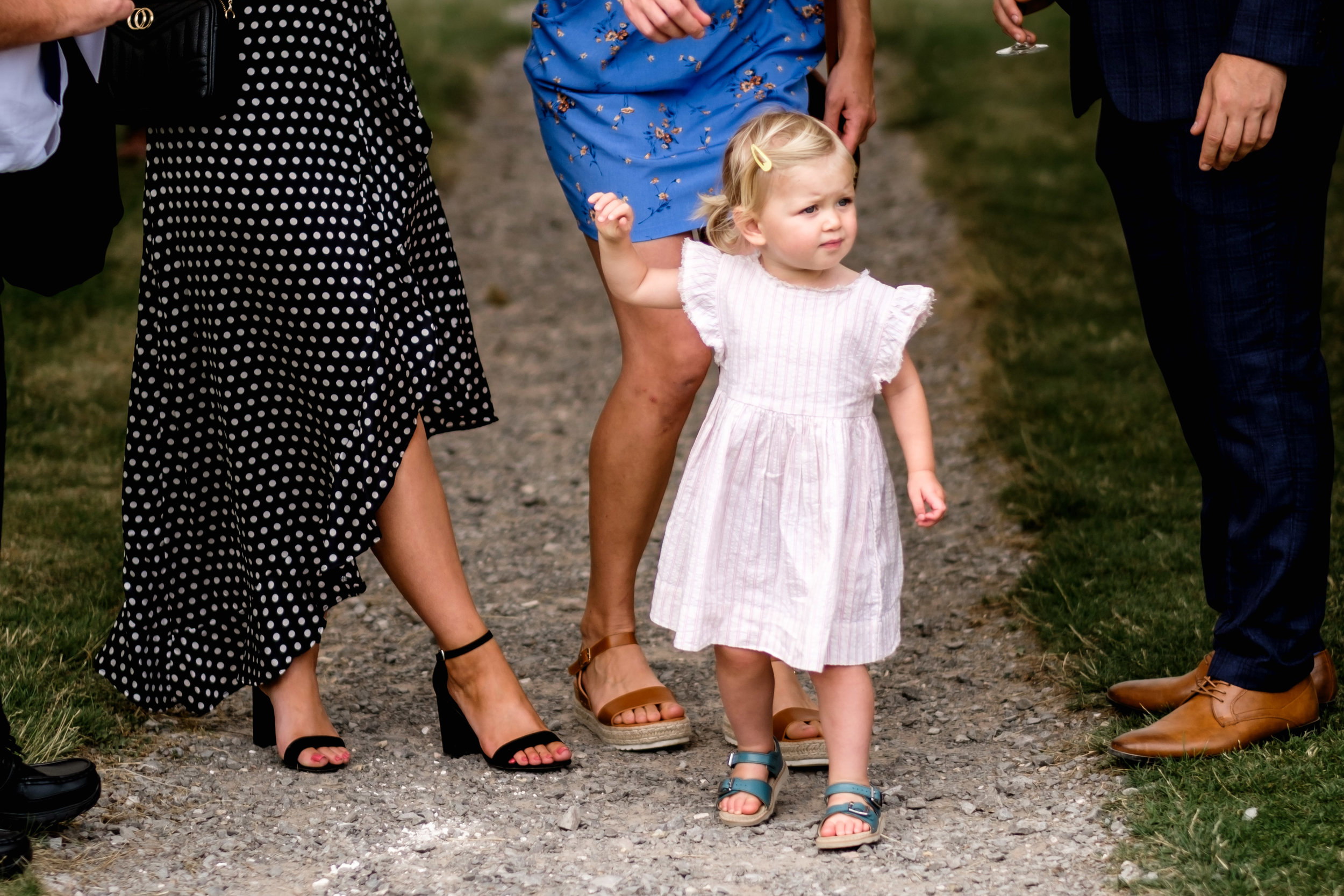 CHOLDERTON RARE BREEDS FARM WEDDINGS