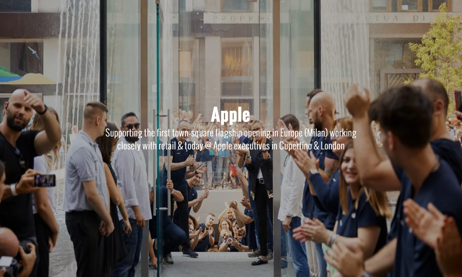Works image 10 Apple.jpg