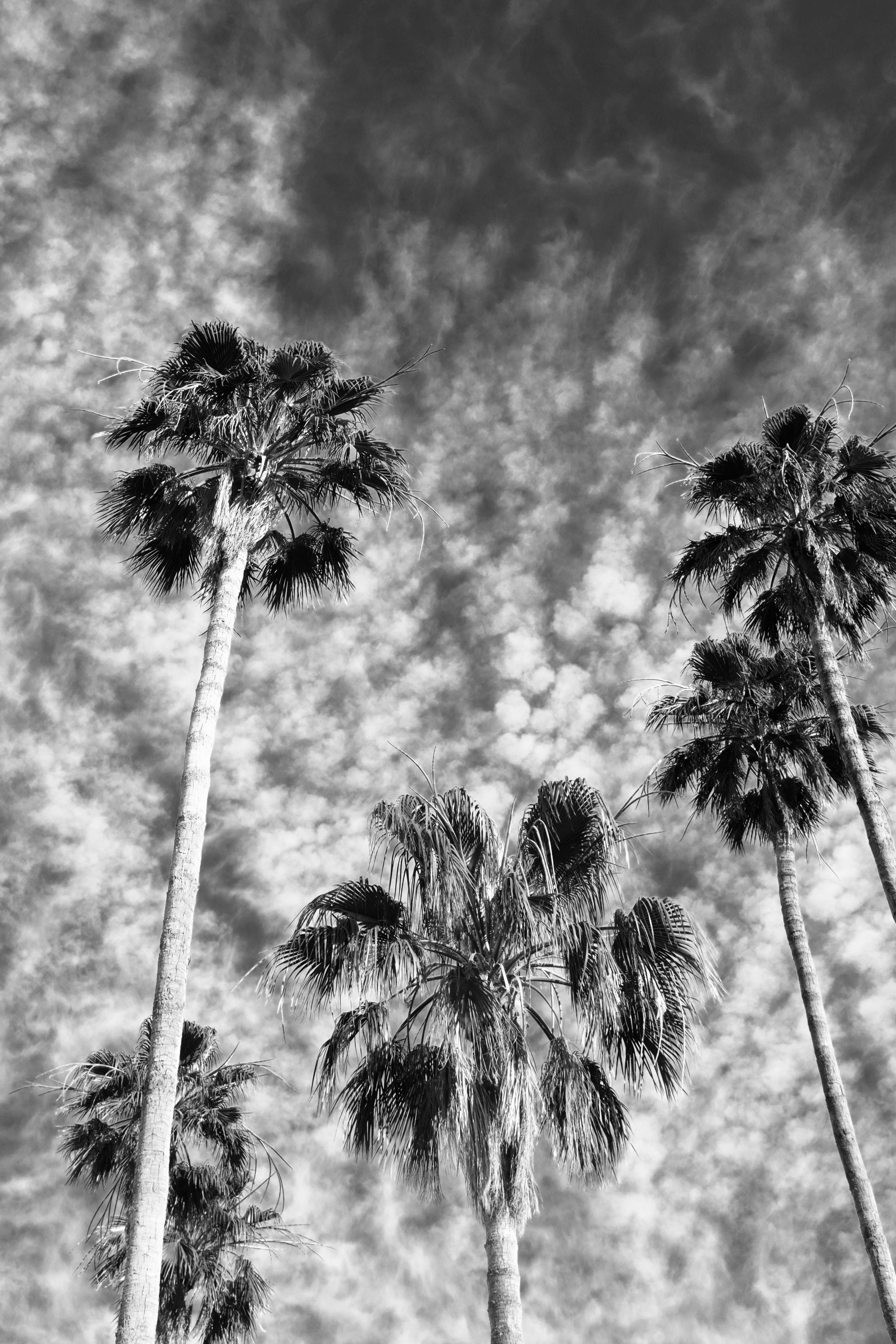 Palm Springs Sky.jpg