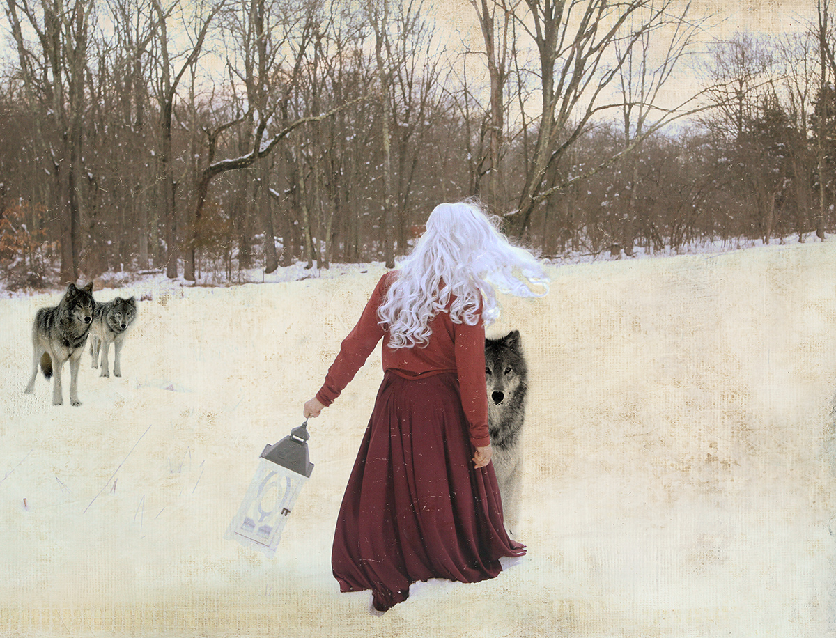 The wolves came out to greet me