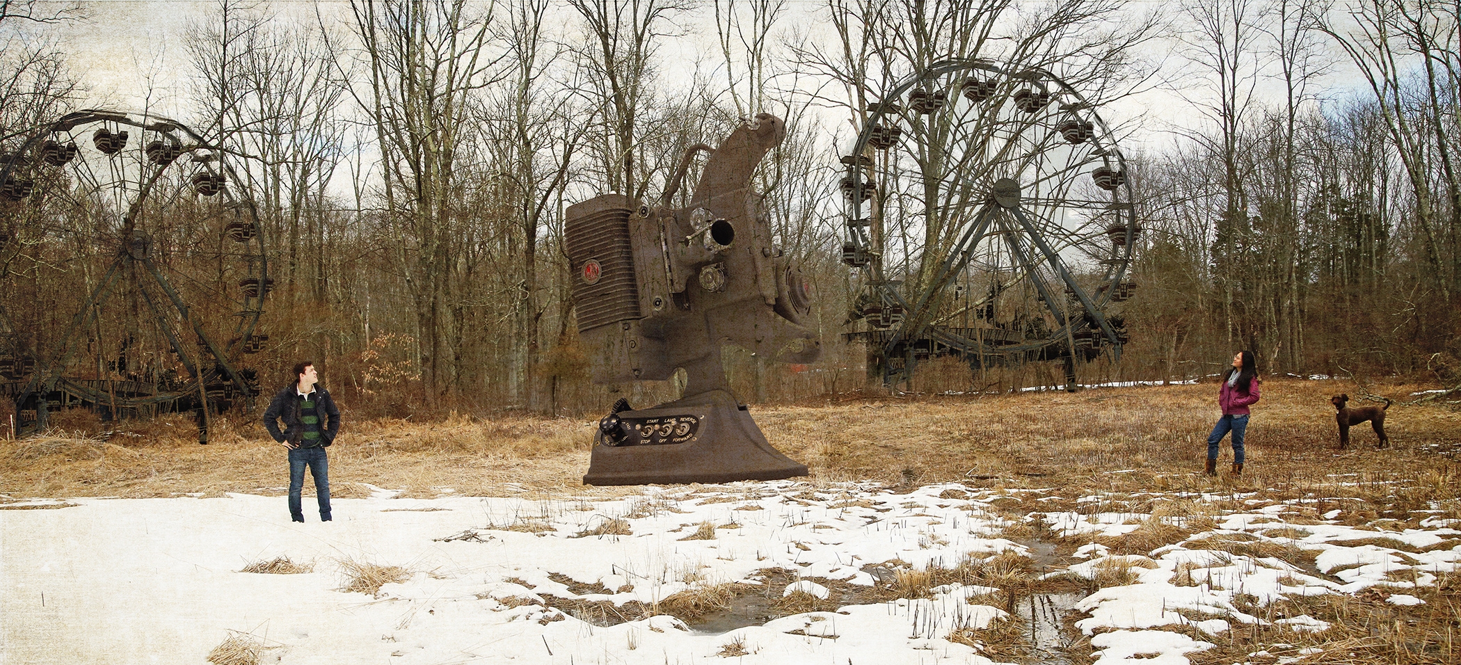 After Mother Nature suffered abuse there began the Appearance of Old Machinery, Cameras and Carousels
