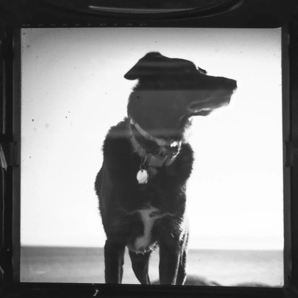 static1.squarespace-2.jpg