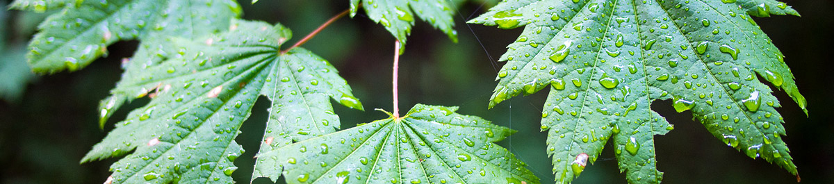 Ready, Set, Innovate…Sustainably!