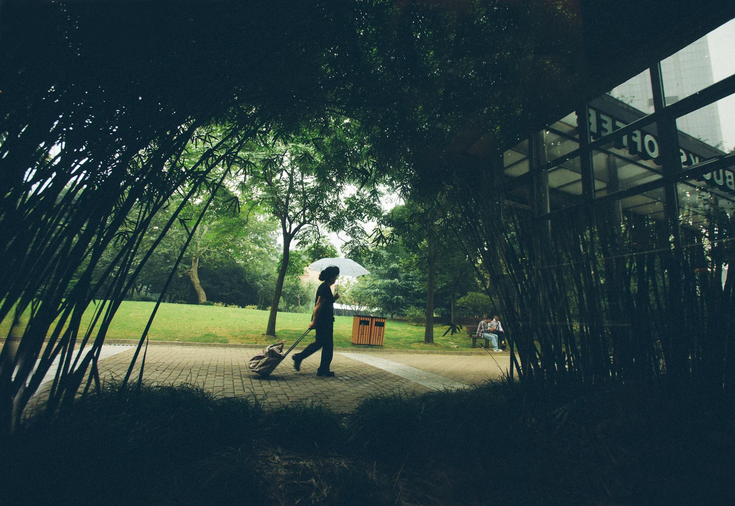 Umbrella_Walker_China.jpg