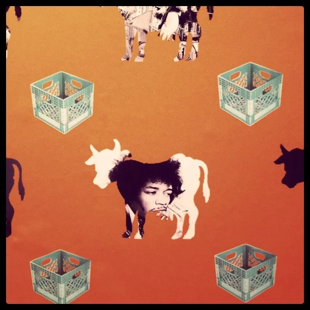 Taken with instagram