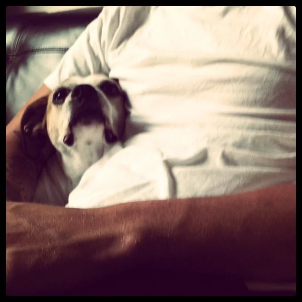 Taken with instagram