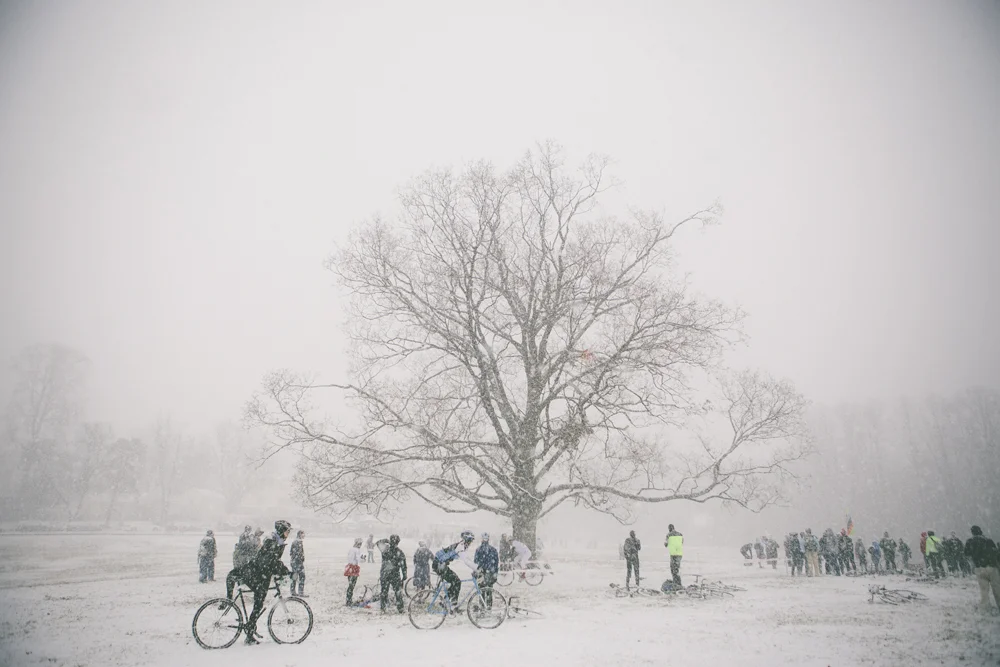 Cyclocross_Whiteout_Tree.jpg
