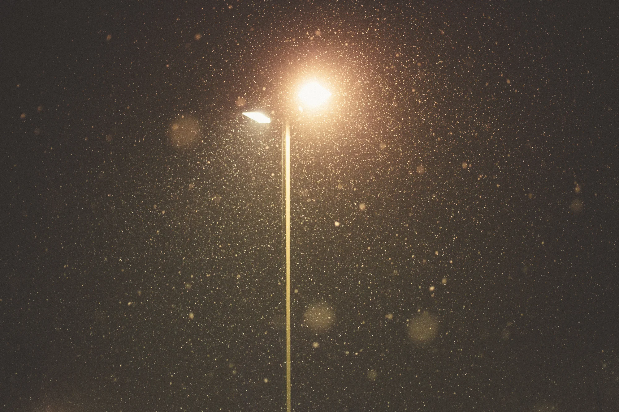 Snowy_Light.jpg