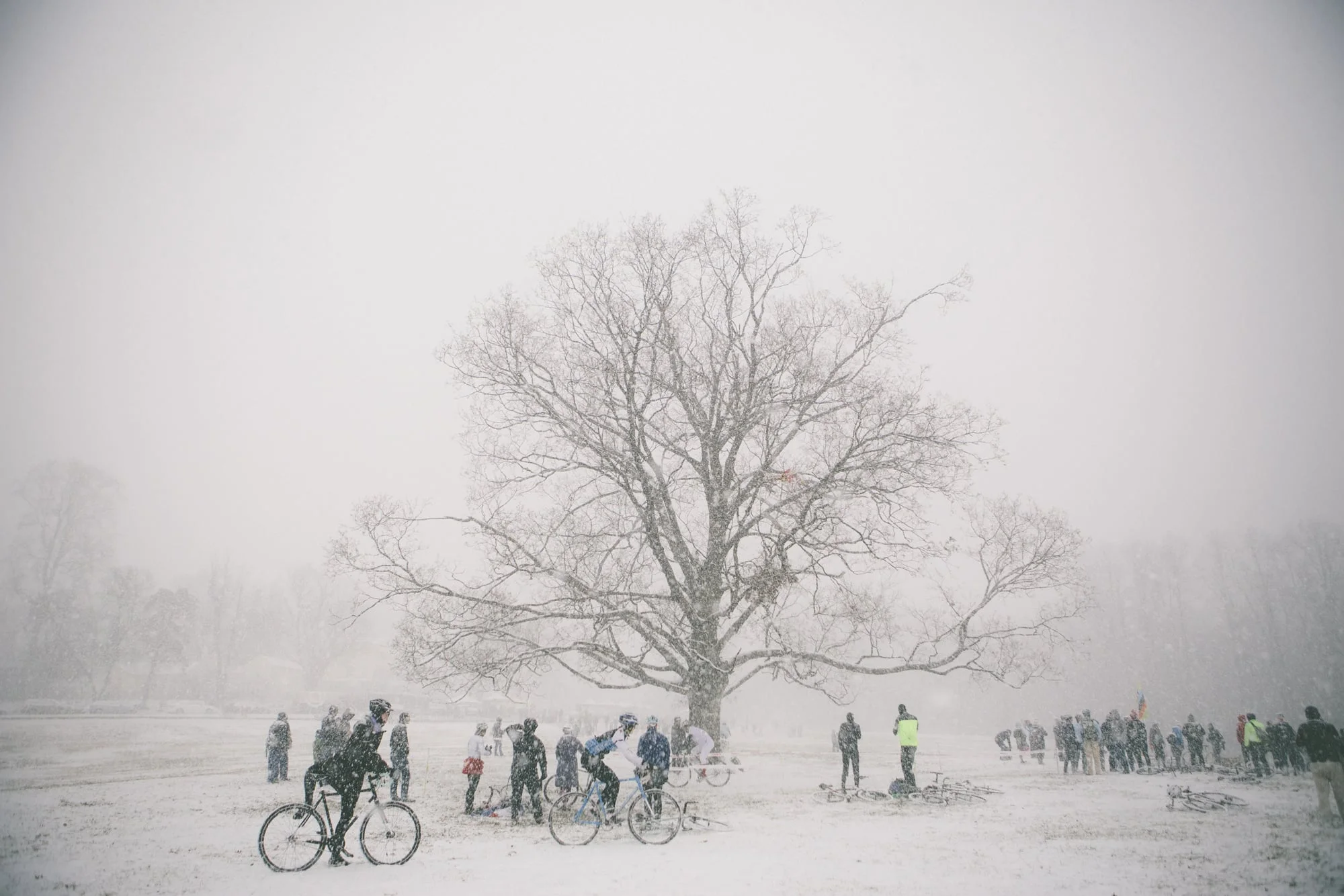 Cyclocross_Whiteout_Tree.jpg
