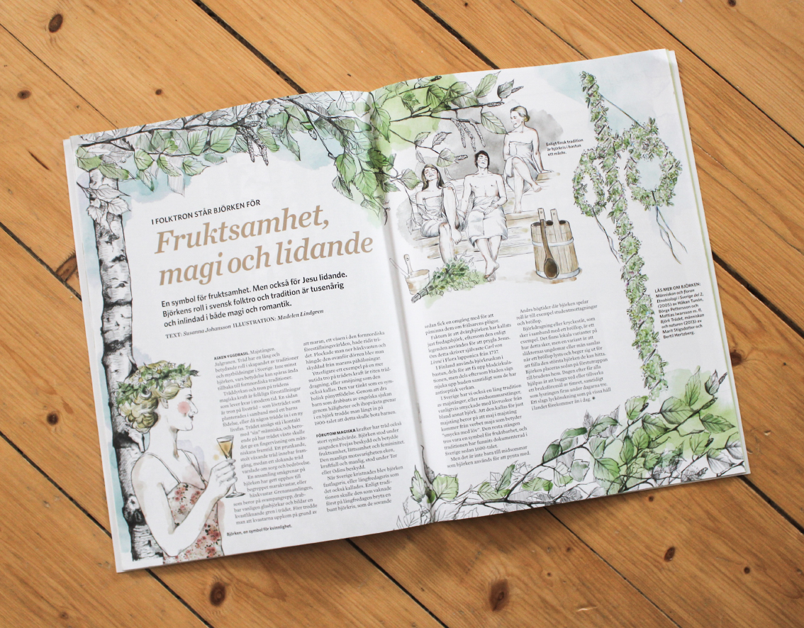 Björkar till Skogssällskapet/Bee Productions