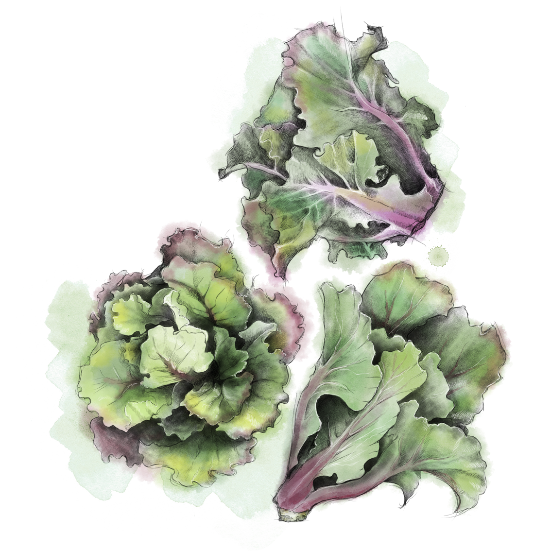 3.Buffe_sprouts.png