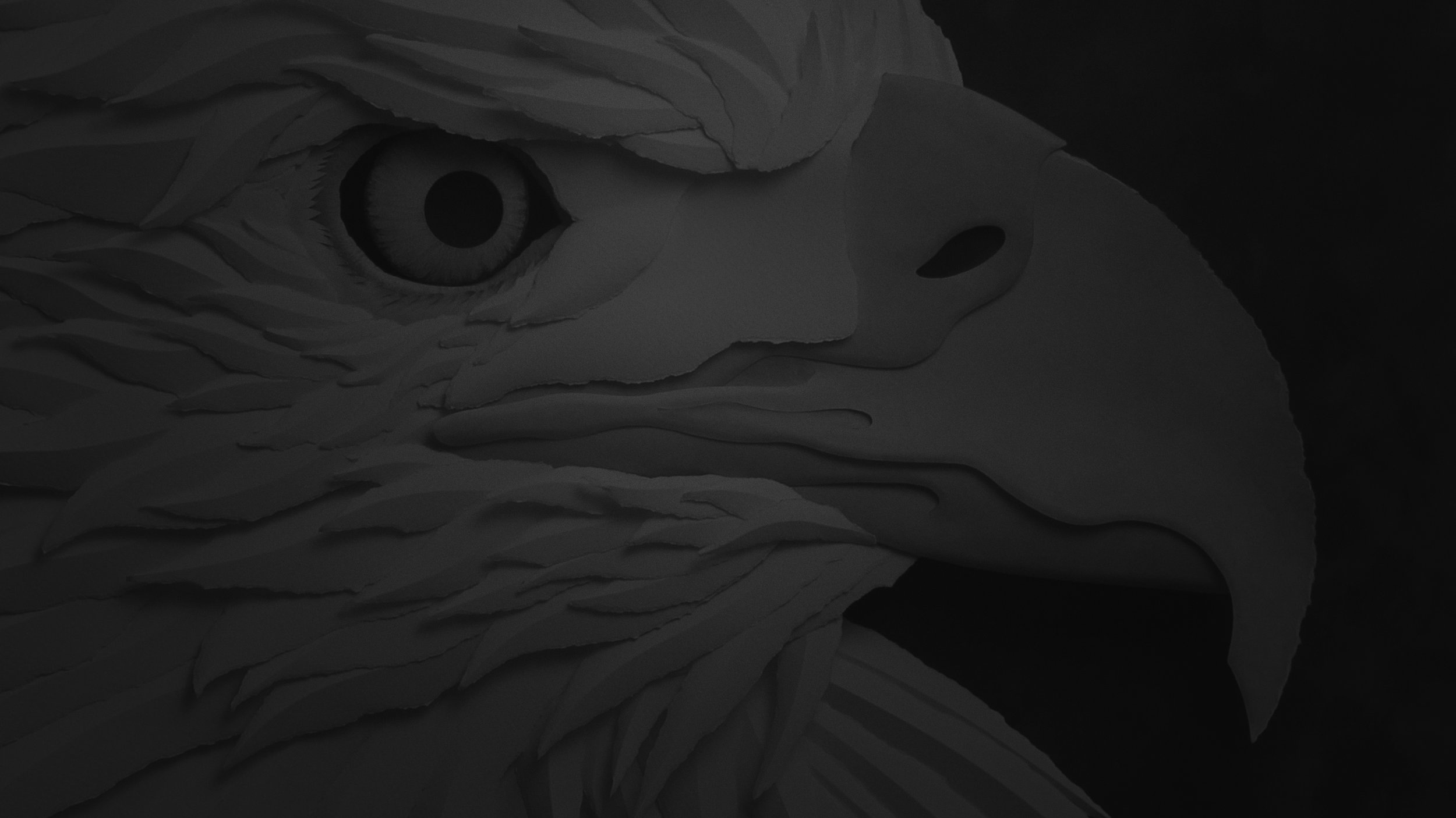 Bald Eagle 05.jpg