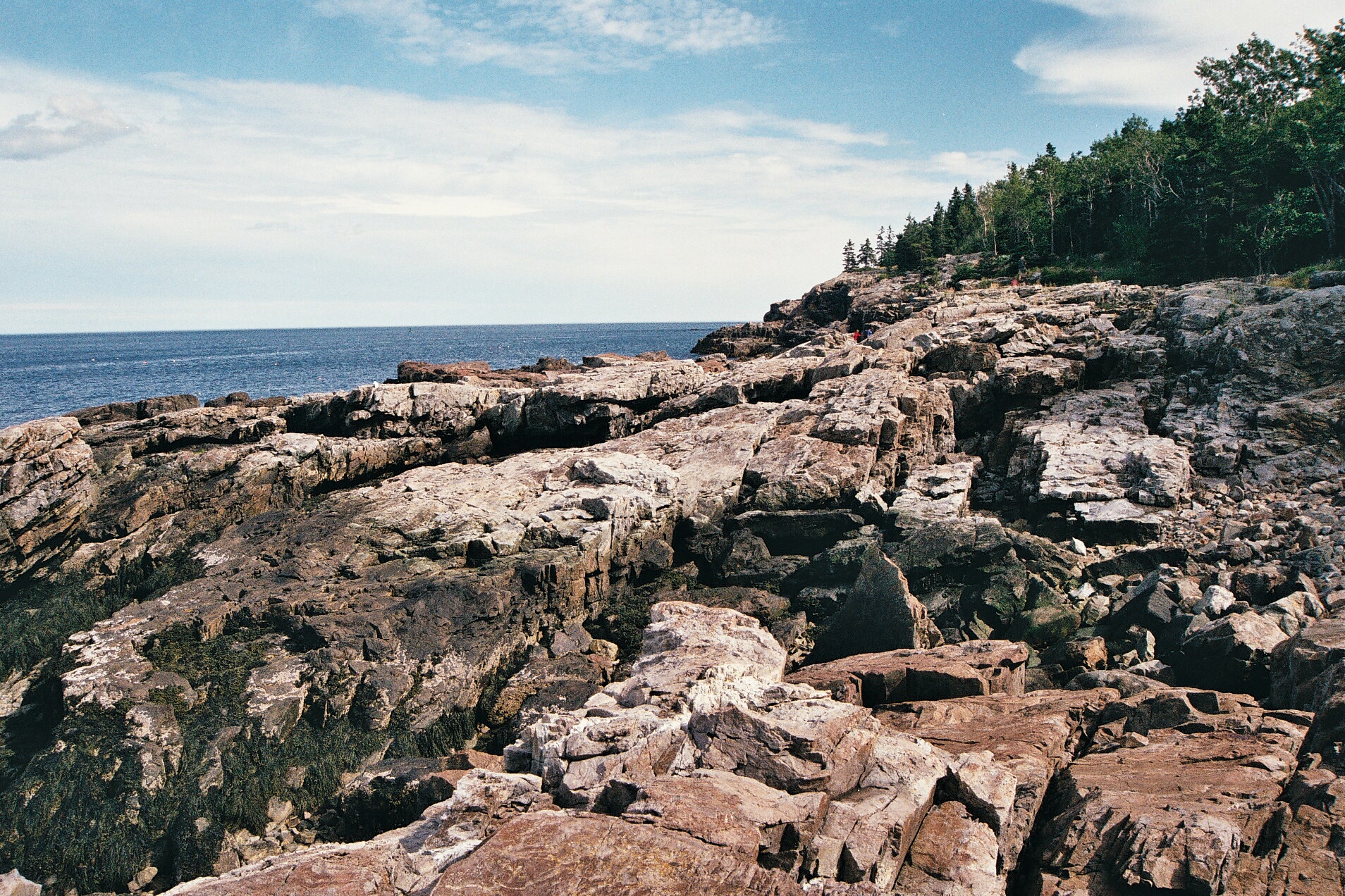   Acadia, Maine. &nbsp;35mm film, 2011. 