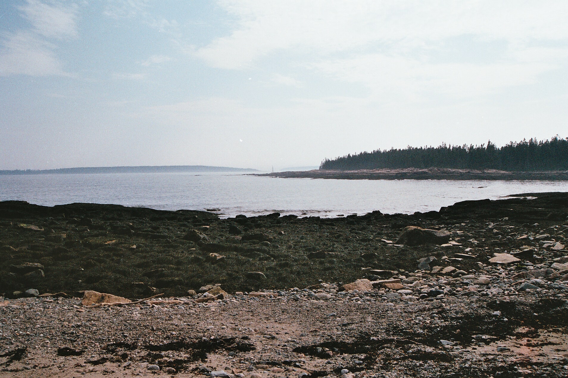   Acadia, Maine.  35mm film, 2011. 
