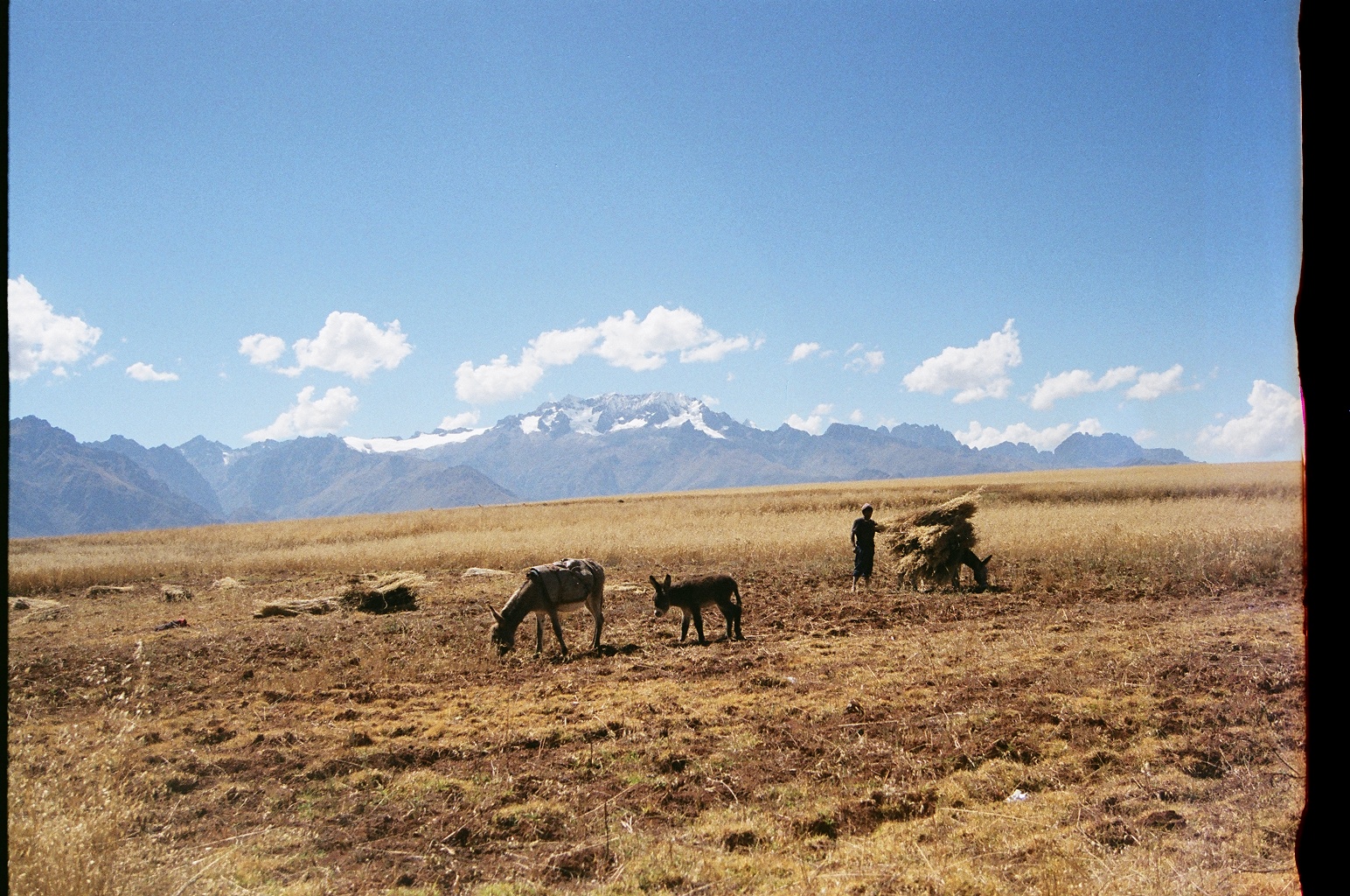   Ollantaytambo, Peru. &nbsp;35mm film, 2014. 