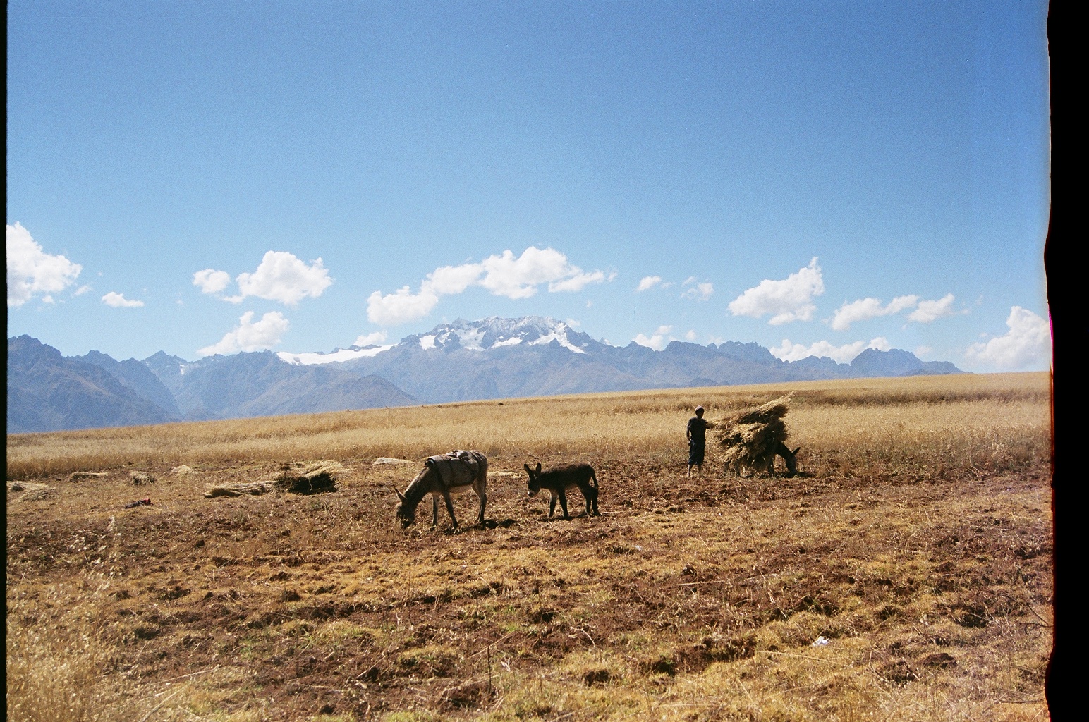 Ollantaytambo, Peru. 35mm film, 2014.