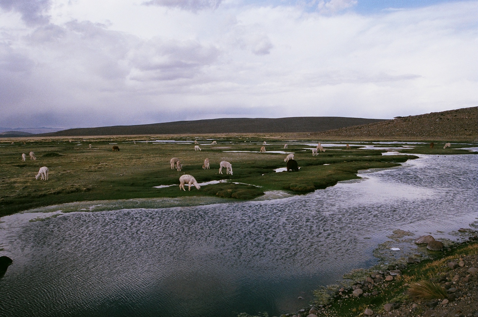 Chivay, Peru. 35mm film, 2014.