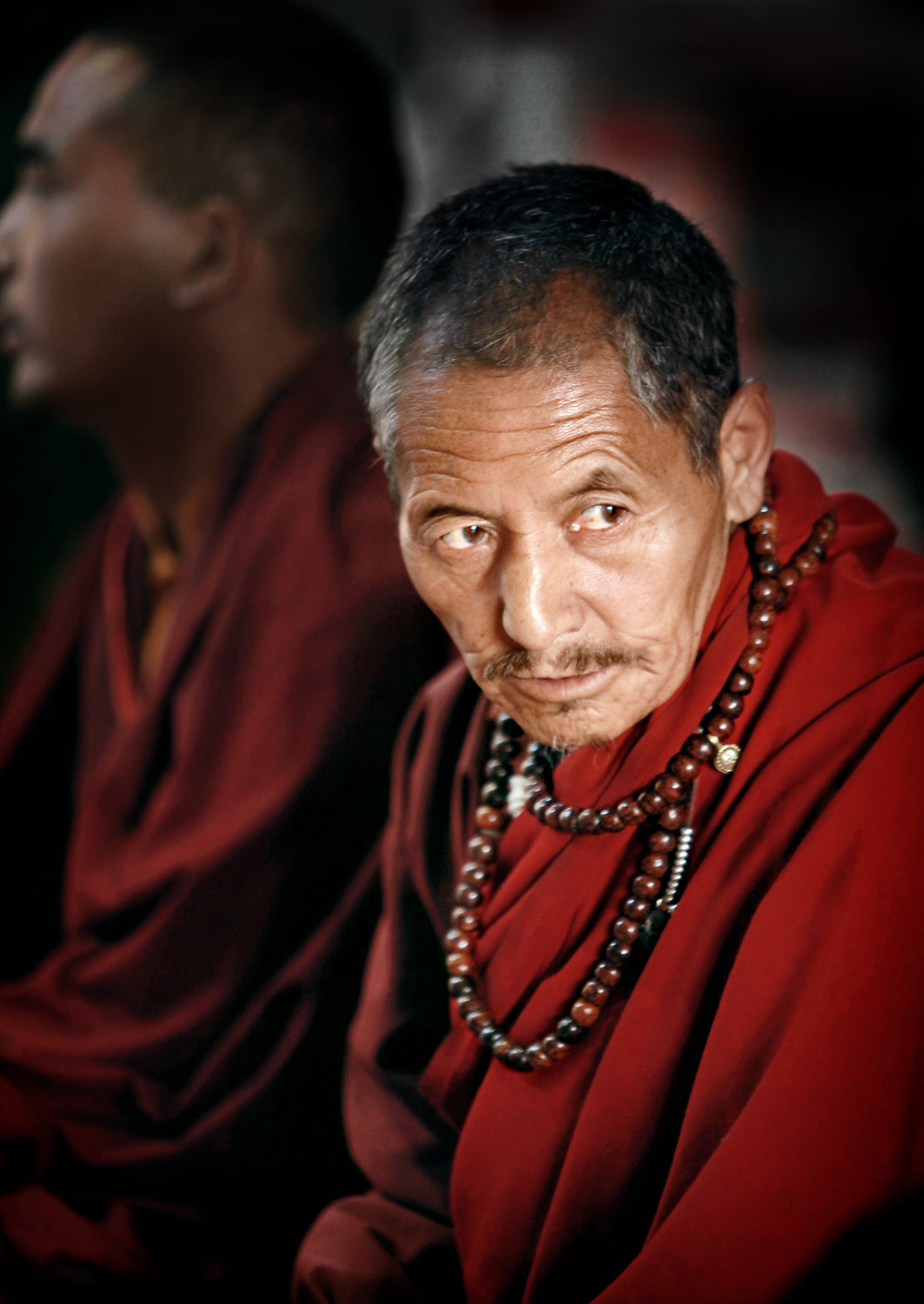 Monk during morning Puja, Hemis Gompa, Ladakh, India