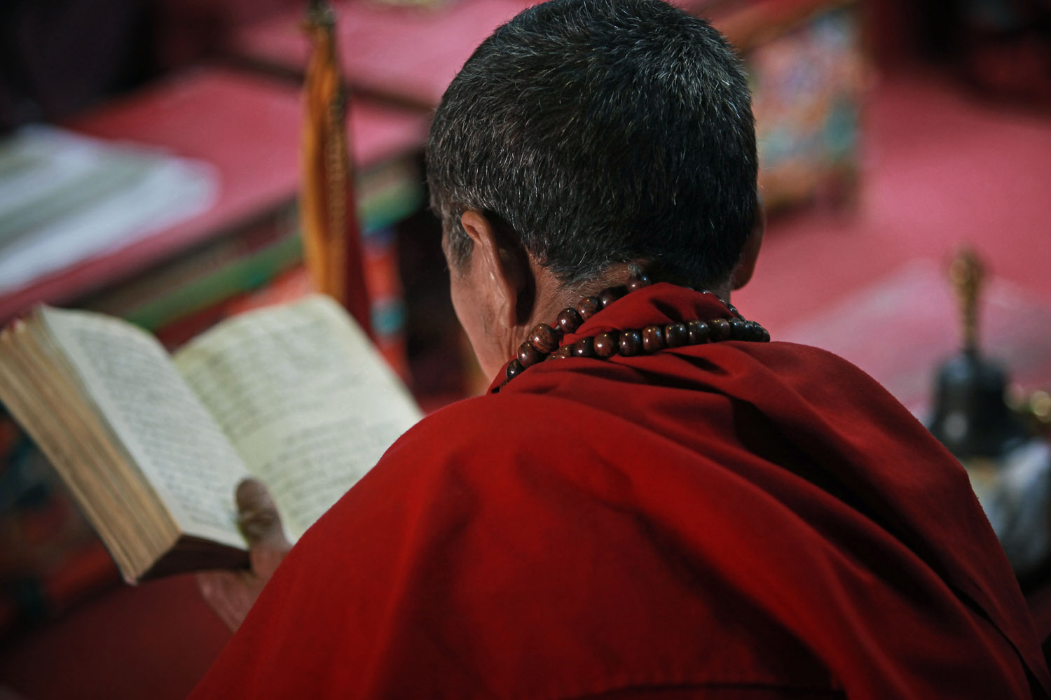 Monk at early mornig puja, Hemis Monastery