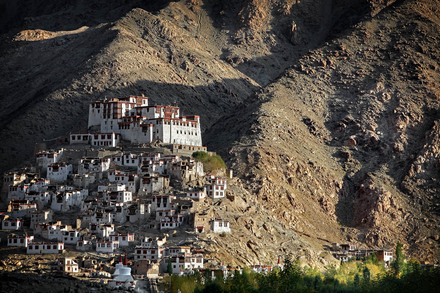 Chemdrey Monastery, Ladakh, India