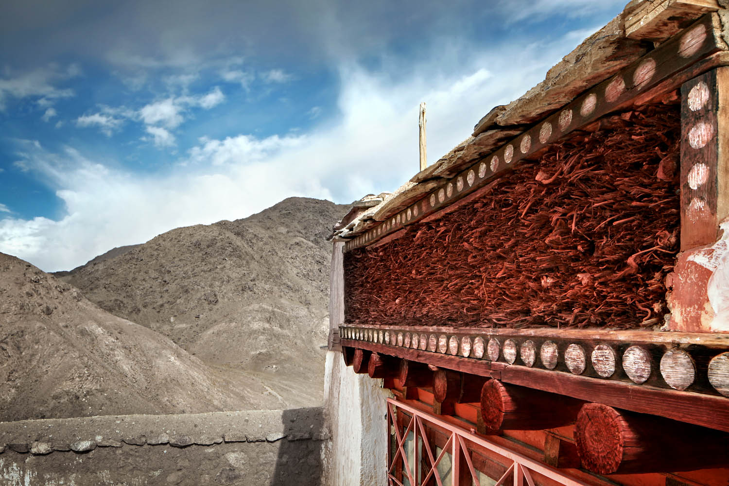 Detail, Chemdrey Monastery, Ladakh, India