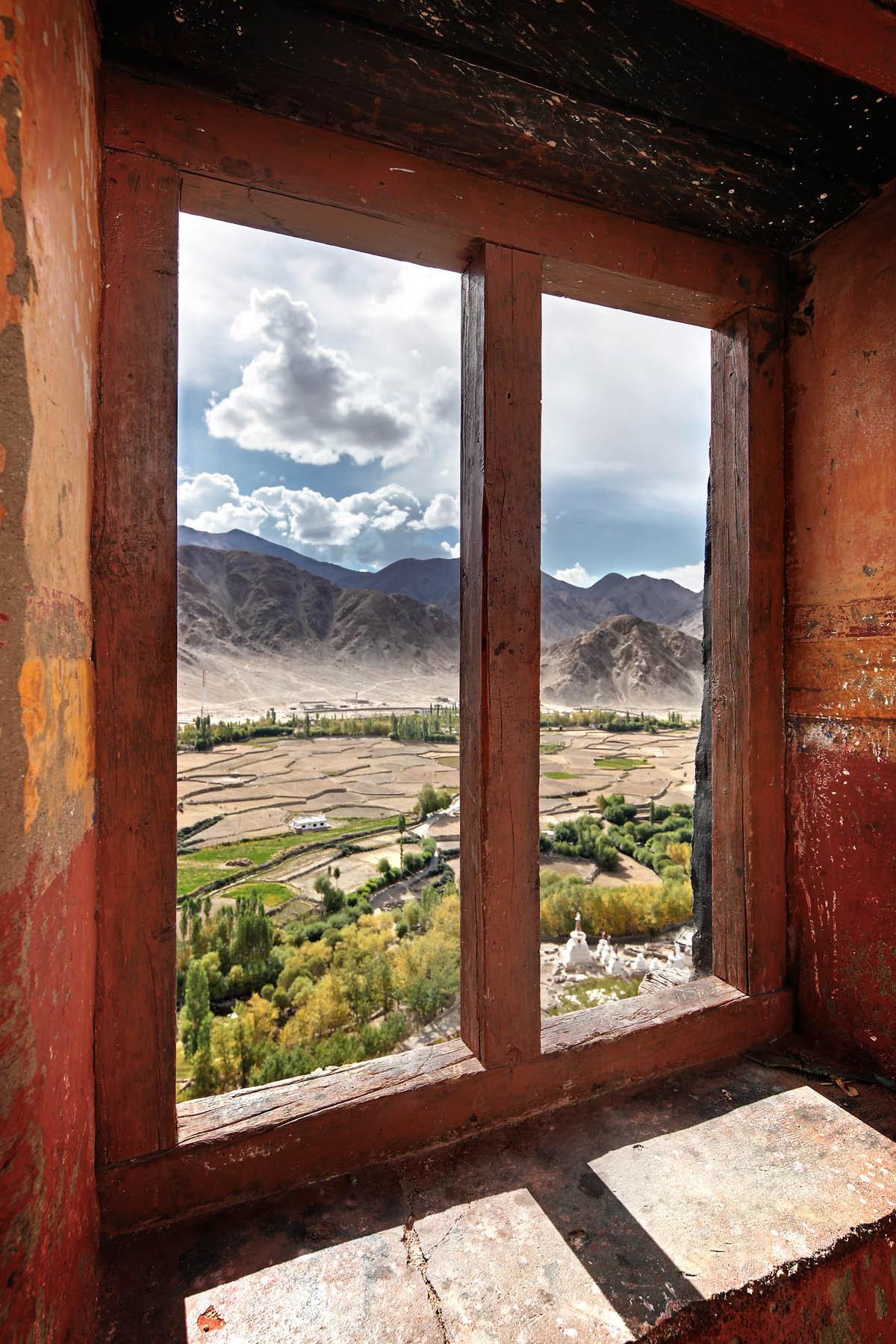 View over the barley fields, Chemdrey Monastery, Ladakh, India