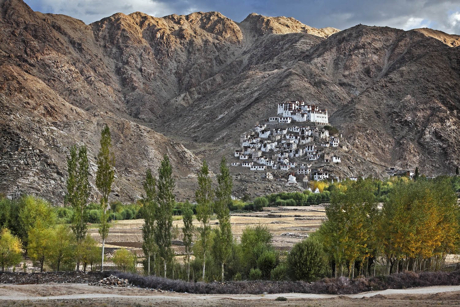 Chemdrey Monastery, Ladakh, India