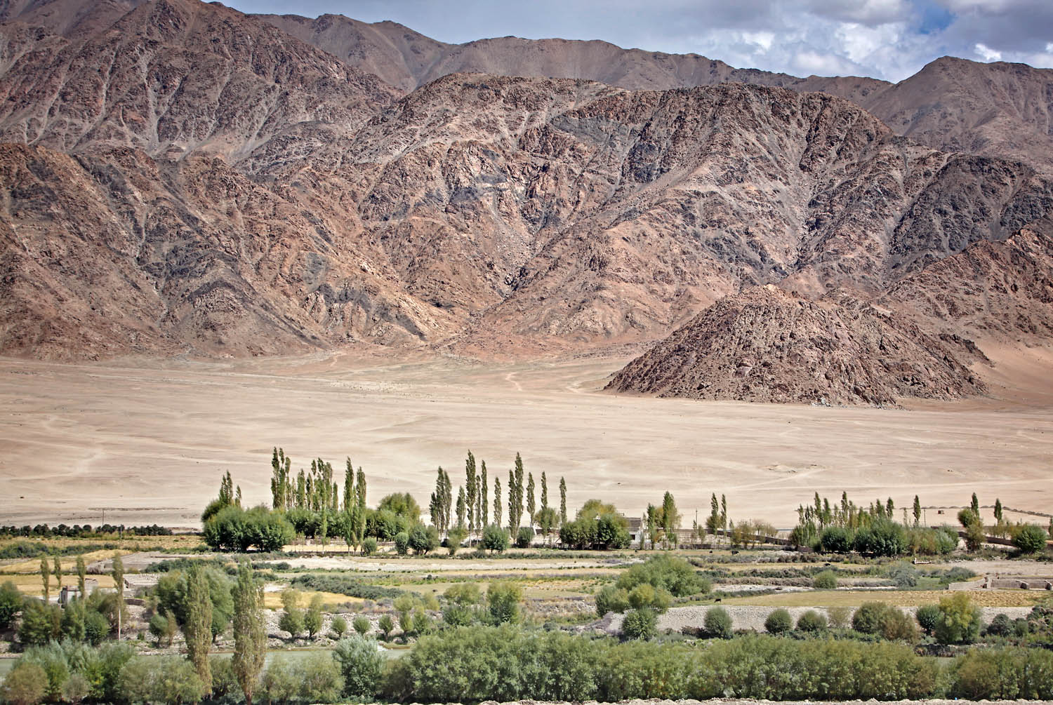 Irrigated fields and desert from Stakna Monastery, Ladakh, India