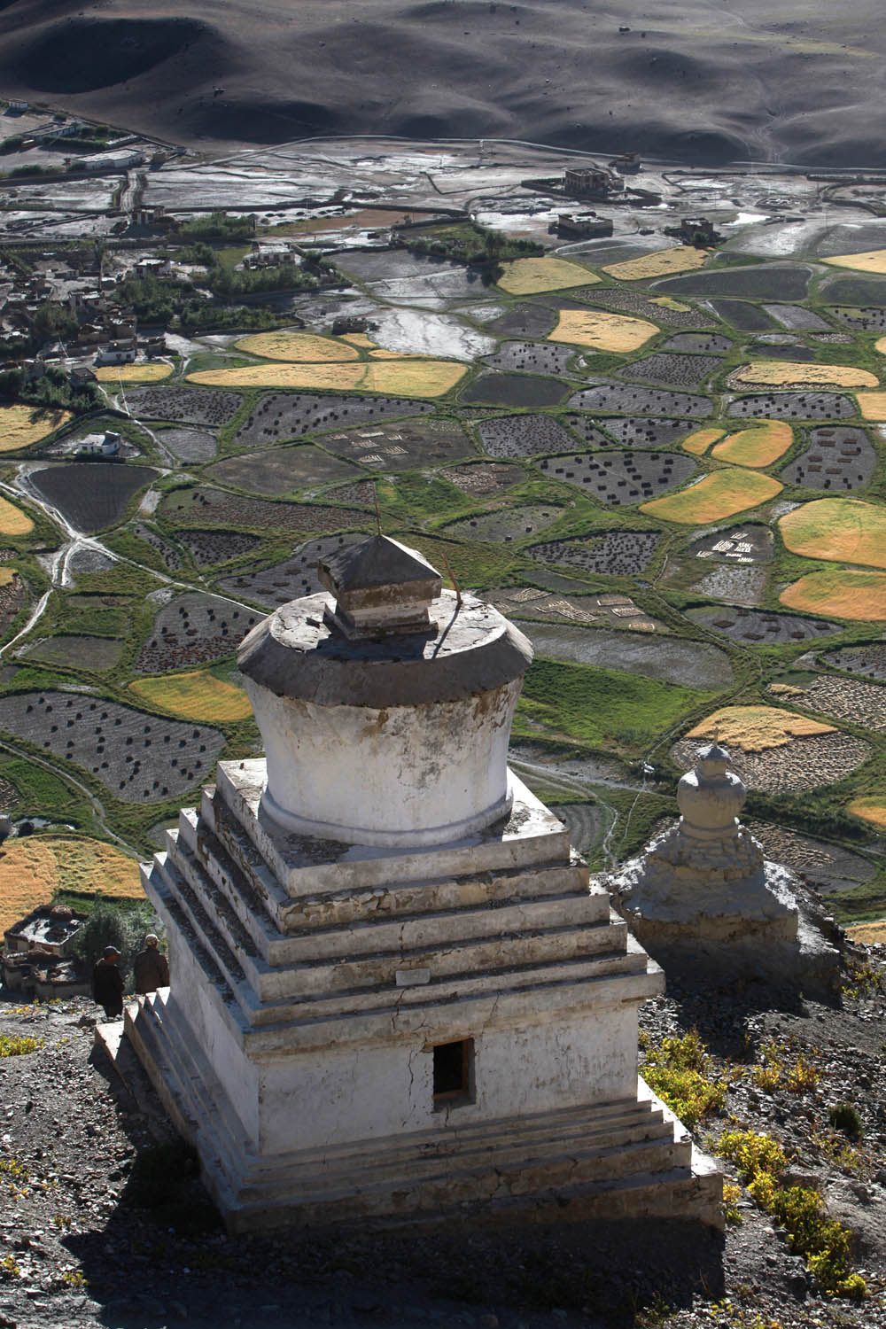 Stupa & fields, Stongde Monastery, Zanskar, Ladakh, India