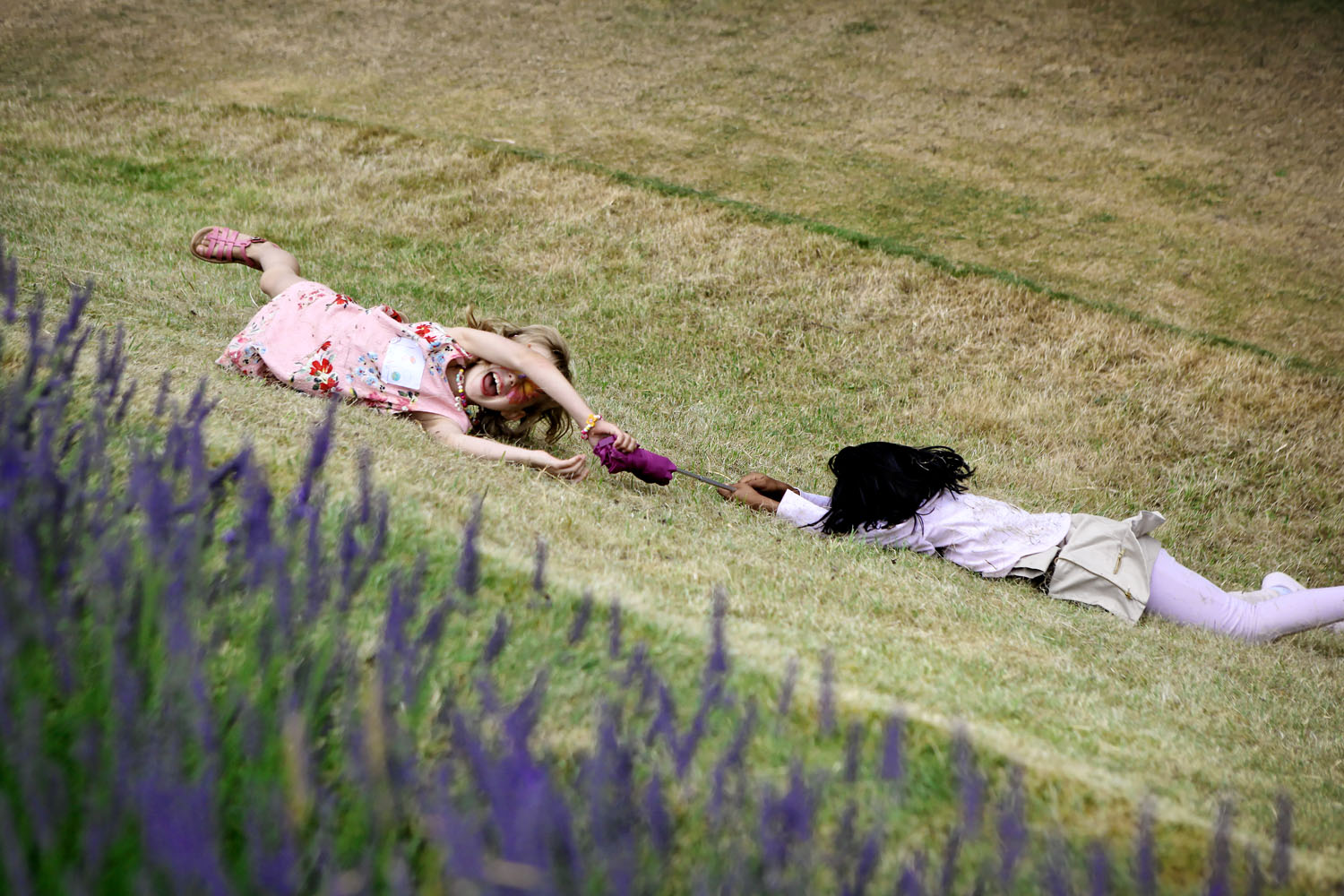  Photography of the Merton College/Society 2017 Family Fayre, held at Merton College Oxford on the 25th June 2017. 