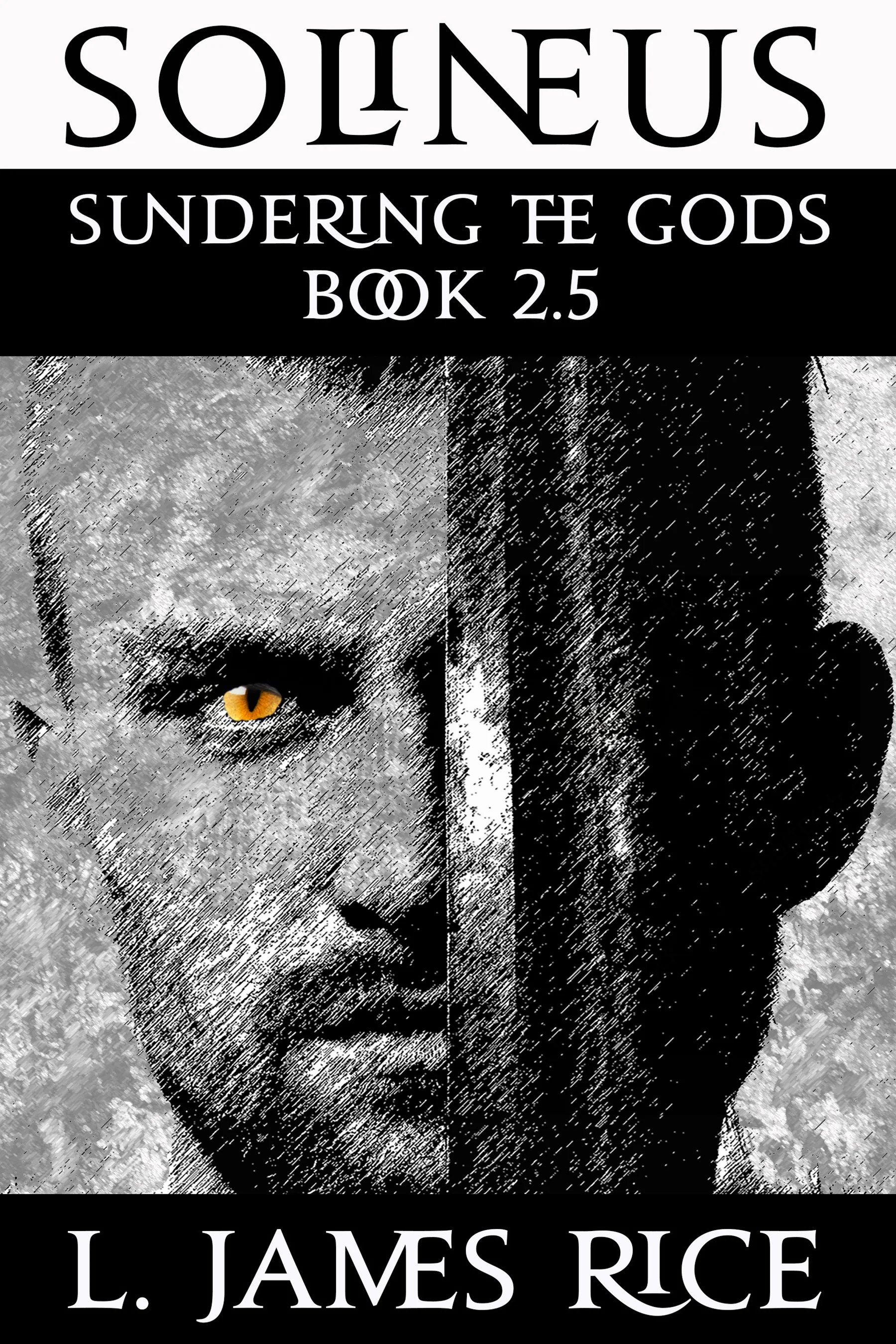 Solineus 6x9 Cover.jpg