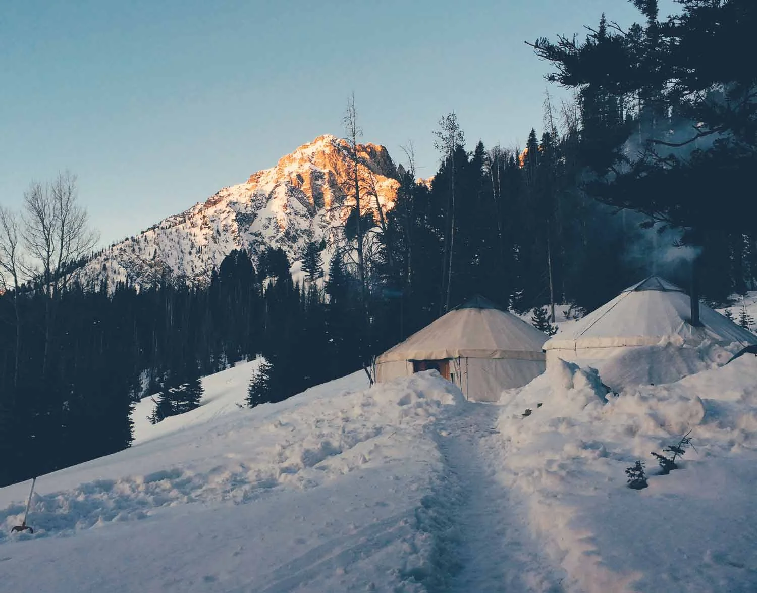 williams-peak-hut.jpg