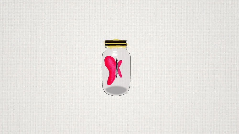 FileItem-248183-Branding_BullfrogsButterflies2.jpeg