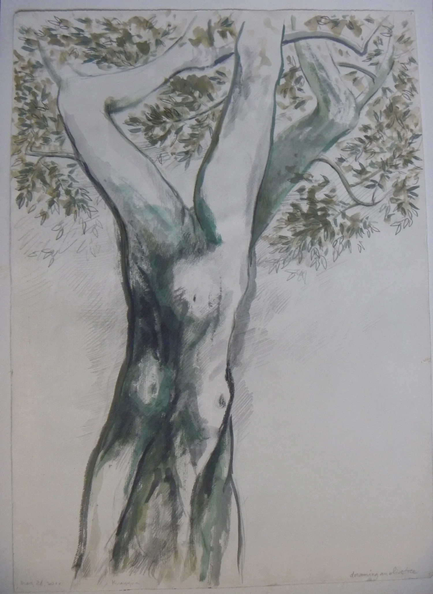 P1080877-cropped.jpg